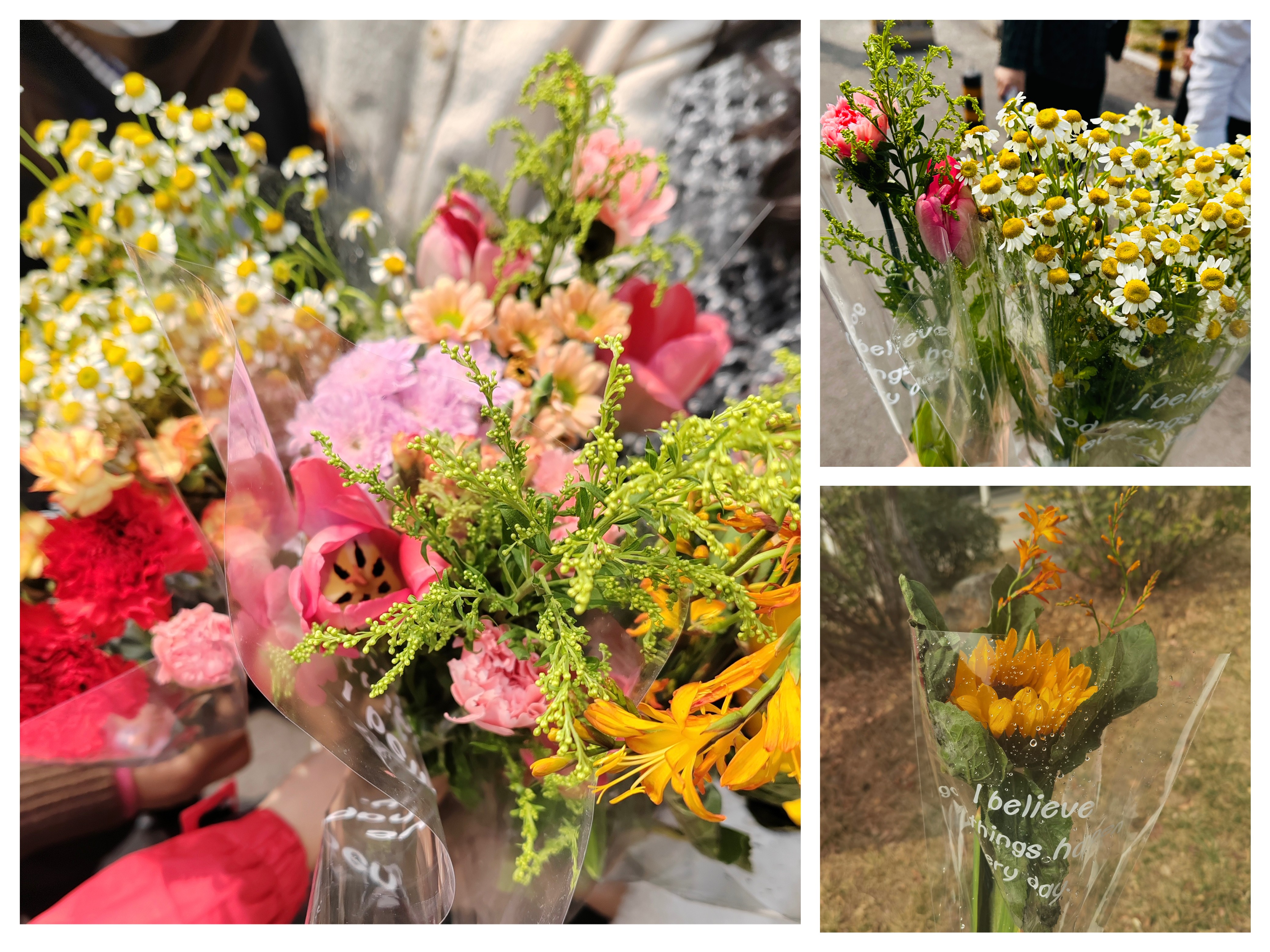 AG���˹��ʡ�(�й���)�ٷ���վ-��վ���